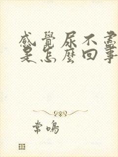 感觉尿不尽尿频是怎么回事