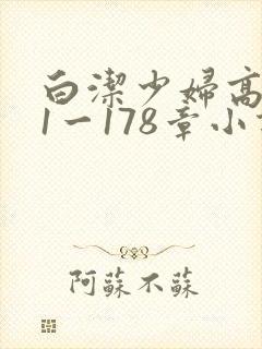 白洁少妇高义第1一178章小说封面