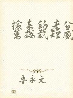 捡来的老公是亿万总裁短剧