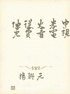 他从火光中走来免费看电视剧