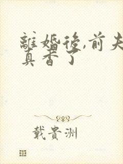 离婚后,前夫他真香了