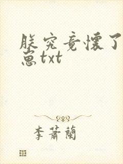 朕究竟怀了谁的崽txt封面