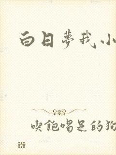 白日梦我小说
