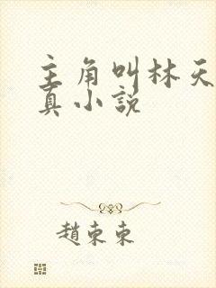 主角叫林天的修真小说封面