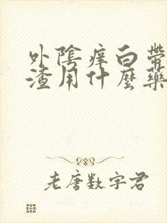 外阴痒白带豆腐渣用什么药