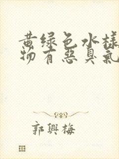 黄绿色水样分泌物有恶臭气味