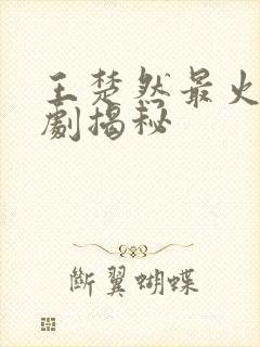 王楚然最火三部剧揭秘封面