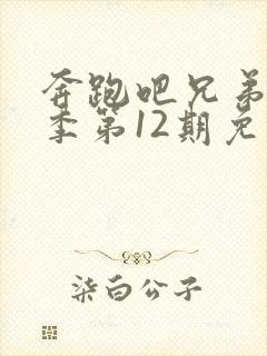 奔跑吧兄弟第二季第12期免费观看