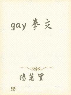 gay 拳交
