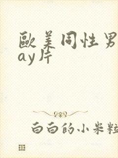 欧美同性男男gay片