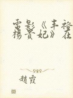 电影《丰裕纵满杨贵妃》在线观看