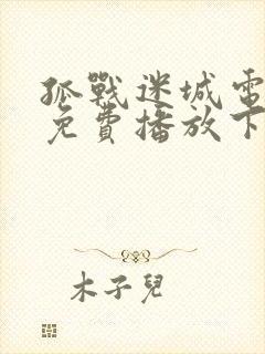 孤战迷城电视剧免费播放下载