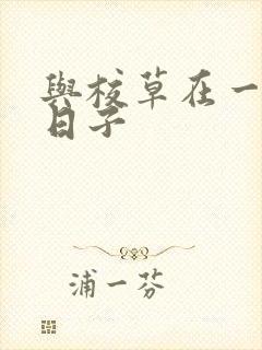 与校草在一起的日子