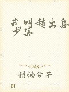 我叫赵出息共多少集封面