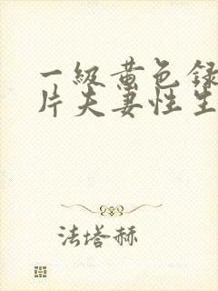 一级黄色录像影片夫妻性生活片