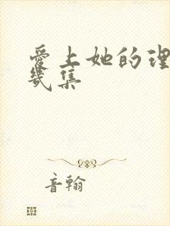 爱上她的理由有几集封面