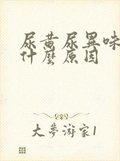 尿黄尿异味大是什么原因