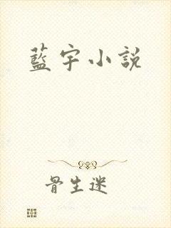 蓝宇小说