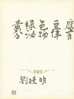 黄绿色豆腐渣样分泌物伴有瘙痒