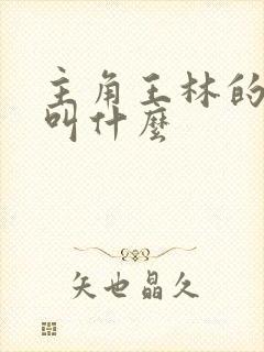 主角王林的小说叫什么