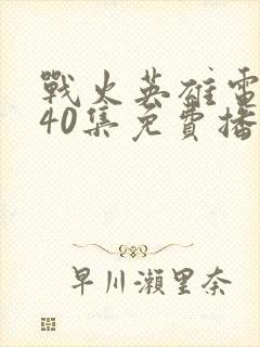 战火英雄电视剧40集免费播放