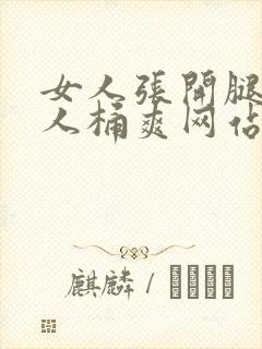 女人张开腿让男人桶爽网站