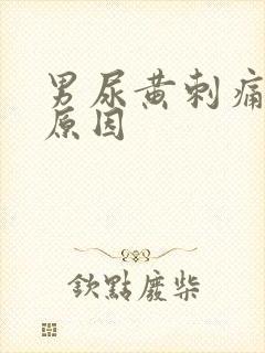 男尿黄刺痛什么原因