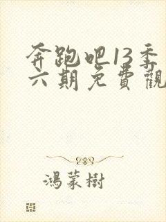 奔跑吧13季第六期免费观看