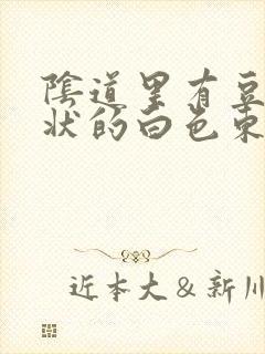 阴道里有豆腐渣状的白色东西