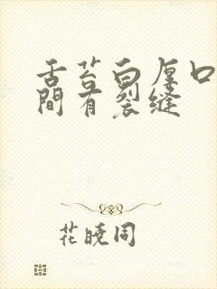 舌苔白厚口臭中间有裂缝