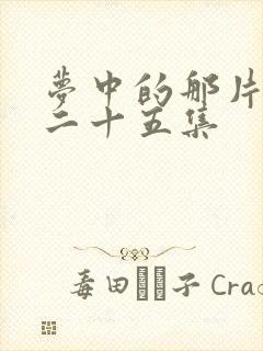 梦中的那片海第二十五集