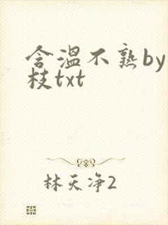 含温不熟by词枝txt