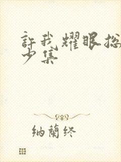 许我耀眼总共多少集封面