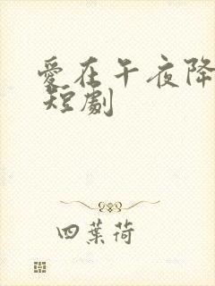 爱在午夜降临前 短剧封面