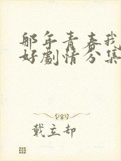 那年青春我们正好剧情分集介绍