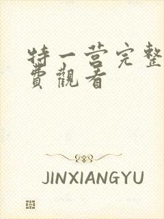 特一营完整版免费观看封面