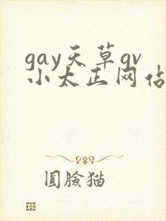 gay天草gv小太正网站