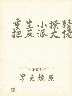 重生小撩精,我把反派大佬宠娇了