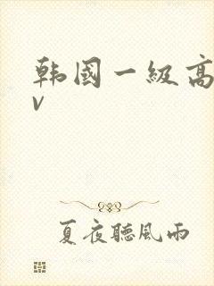 韩国一级高清av