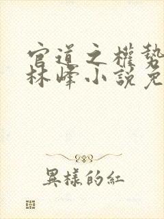 官道之权势滔天林峰小说免费阅读