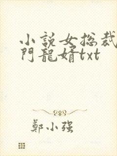 小说女总裁的上门龙婿txt