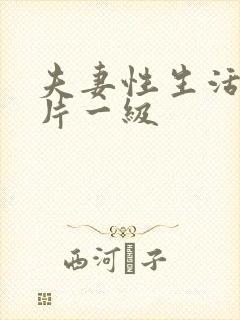 夫妻性生活黄色片一级