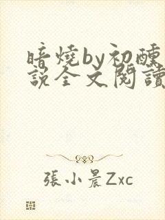 暗烧by初醺小说全文阅读免费