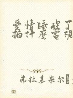 爱情睡醒了是翻拍什么电视剧