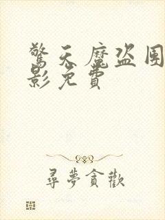 惊天魔盗团1电影免费