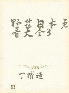 野花日本免费观看大全3