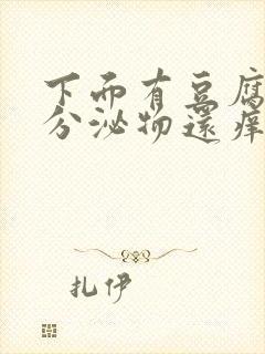 下面有豆腐渣状分泌物还痒用什么药