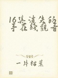 16集消失的凶手在线观看