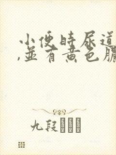 小便时尿道刺痛,并有黄色脓状液体流出封面