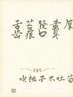 舌苔发黄厚腻有齿痕口臭封面